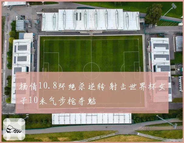 杨倩10.8环绝杀逆转 射击世界杯女子10米气步枪夺魁