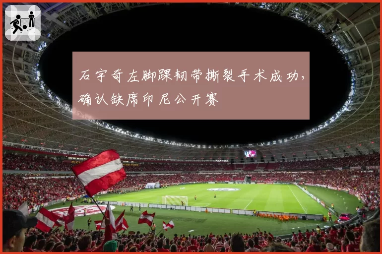 石宇奇左脚踝韧带撕裂手术成功,确认缺席印尼公开赛